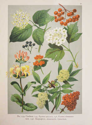 Гофман К. Ботанический атлас по системе де-Кандоля. СПб.: Издание А.Ф. Девриена, 1897.